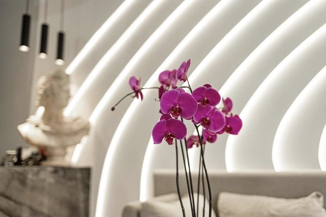 Antibes interior detail